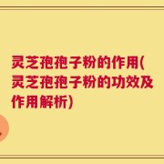 灵芝孢孢子粉的作用(灵芝孢孢子粉的功效及作用解析)