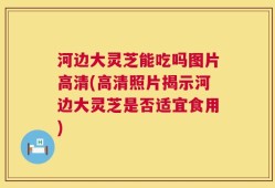 河边大灵芝能吃吗图片高清(高清照片揭示河边大灵芝是否适宜食用)