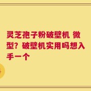 灵芝孢子粉破壁机 微型？破壁机实用吗想入手一个