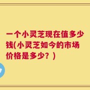 一个小灵芝现在值多少钱(小灵芝如今的市场价格是多少？)
