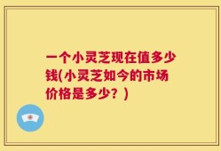 一个小灵芝现在值多少钱(小灵芝如今的市场价格是多少？)