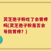 灵芝孢子粉吃了会胃疼吗(灵芝孢子粉是否会导致胃疼？)