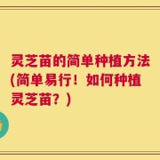 灵芝苗的简单种植方法(简单易行！如何种植灵芝苗？)