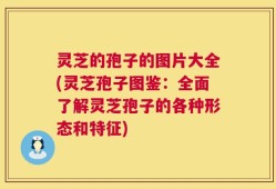 灵芝的孢子的图片大全(灵芝孢子图鉴：全面了解灵芝孢子的各种形态和特征)