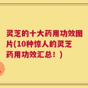 灵芝的十大药用功效图片(10种惊人的灵芝药用功效汇总！)