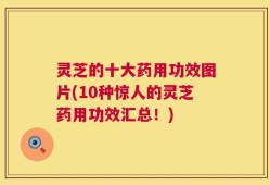 灵芝的十大药用功效图片(10种惊人的灵芝药用功效汇总！)