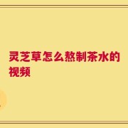 灵芝草怎么熬制茶水的视频