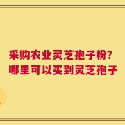 采购农业灵芝孢子粉？哪里可以买到灵芝孢子