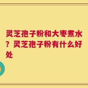 灵芝孢子粉和大枣煮水？灵芝孢子粉有什么好处