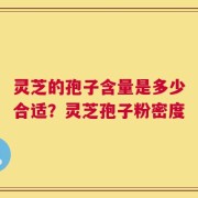 灵芝的孢子含量是多少合适？灵芝孢子粉密度