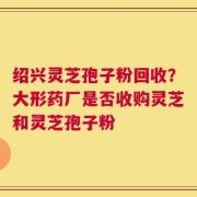 绍兴灵芝孢子粉回收？大形药厂是否收购灵芝和灵芝孢子粉