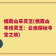 栖霞山采灵芝(栖霞山寻找灵芝：云南探秘寻宝之旅)
