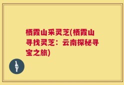 栖霞山采灵芝(栖霞山寻找灵芝：云南探秘寻宝之旅)
