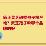 修正灵芝破壁孢子粉产地？灵芝孢子粉哪个品牌的好