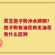 灵芝孢子粉冲水辨别？孢子粉有油花和无油花有什么区别