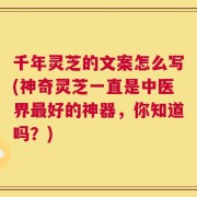 千年灵芝的文案怎么写(神奇灵芝一直是中医界最好的神器，你知道吗？)