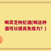 喝灵芝枸杞酒(喝这种酒可以提高免疫力？)