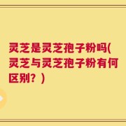 灵芝是灵芝孢子粉吗(灵芝与灵芝孢子粉有何区别？)