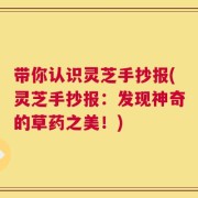 带你认识灵芝手抄报(灵芝手抄报：发现神奇的草药之美！)