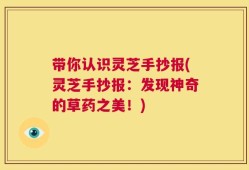 带你认识灵芝手抄报(灵芝手抄报：发现神奇的草药之美！)