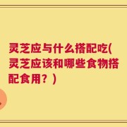 灵芝应与什么搭配吃(灵芝应该和哪些食物搭配食用？)