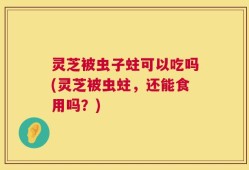 灵芝被虫子蛀可以吃吗(灵芝被虫蛀，还能食用吗？)