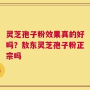 灵芝孢子粉效果真的好吗？敖东灵芝孢子粉正宗吗