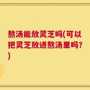 熬汤能放灵芝吗(可以把灵芝放进熬汤里吗？)