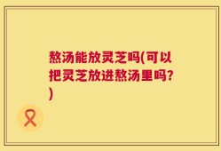 熬汤能放灵芝吗(可以把灵芝放进熬汤里吗？)