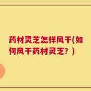 药材灵芝怎样风干(如何风干药材灵芝？)