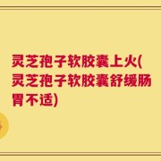 灵芝孢子软胶囊上火(灵芝孢子软胶囊舒缓肠胃不适)