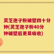灵芝孢子粉破壁四十分钟(灵芝孢子粉40分钟破壁后更易吸收)
