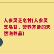 人参灵芝皂甘(人参灵芝皂甘，营养齐备的天然滋养品)