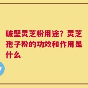 破壁灵芝粉用途？灵芝孢子粉的功效和作用是什么