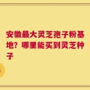 安徽最大灵芝孢子粉基地？哪里能买到灵芝种子