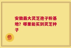 安徽最大灵芝孢子粉基地？哪里能买到灵芝种子