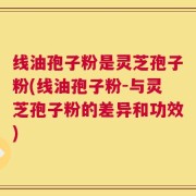线油孢子粉是灵芝孢子粉(线油孢子粉-与灵芝孢子粉的差异和功效)