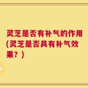 灵芝是否有补气的作用(灵芝是否具有补气效果？)