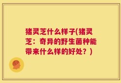 猪灵芝什么样子(猪灵芝：奇异的野生菌种能带来什么样的好处？)