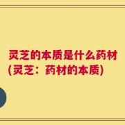 灵芝的本质是什么药材(灵芝：药材的本质)