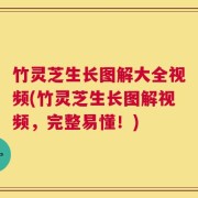 竹灵芝生长图解大全视频(竹灵芝生长图解视频，完整易懂！)