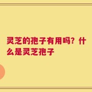 灵芝的孢子有用吗？什么是灵芝孢子