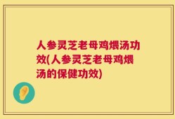 人参灵芝老母鸡煨汤功效(人参灵芝老母鸡煨汤的保健功效)