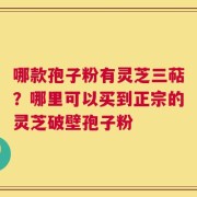 哪款孢子粉有灵芝三萜？哪里可以买到正宗的灵芝破壁孢子粉