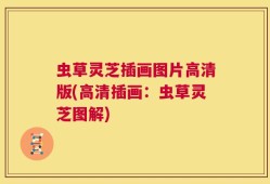 虫草灵芝插画图片高清版(高清插画：虫草灵芝图解)