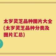 太岁灵芝品种图片大全(太岁灵芝品种分类及图片汇总)