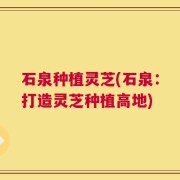石泉种植灵芝(石泉：打造灵芝种植高地)
