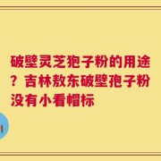 破壁灵芝狍子粉的用途？吉林敖东破壁孢子粉没有小看帽标