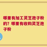 哪里有加工灵芝孢子粉的？哪里有收购灵芝孢子粉