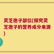 灵芝孢子部位(探究灵芝孢子的营养成分来源)